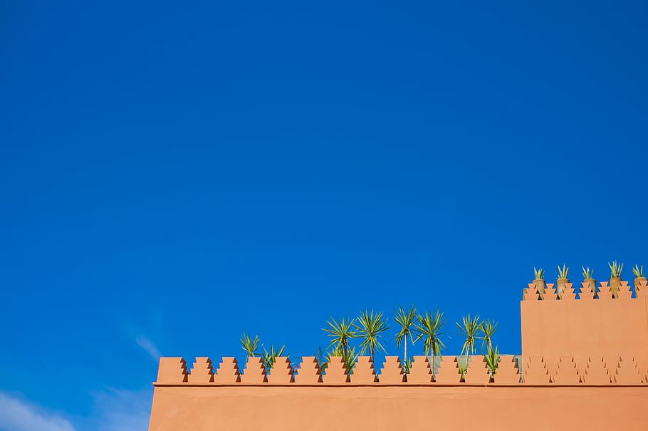 lowangle photo of brown concrete wall during daytime, green tree under blue sky HD wallpaper