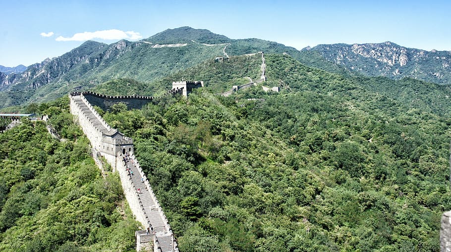 wall of china, mural, eastern, great wall, field, nature, beijing, HD wallpaper