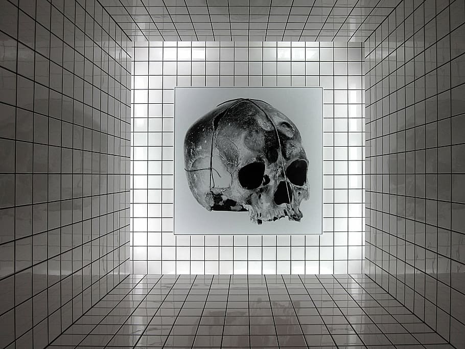 art, skull, centre pompidou, raynaud, installation, indoors HD wallpaper