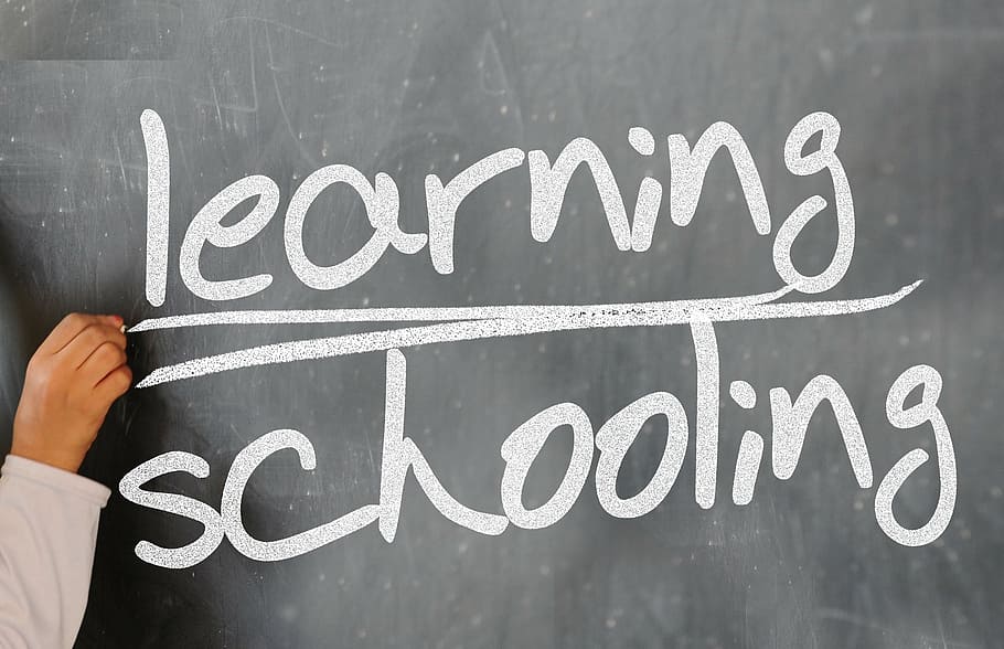 board, chalk board, knowledge, learn, learning, school, study HD wallpaper