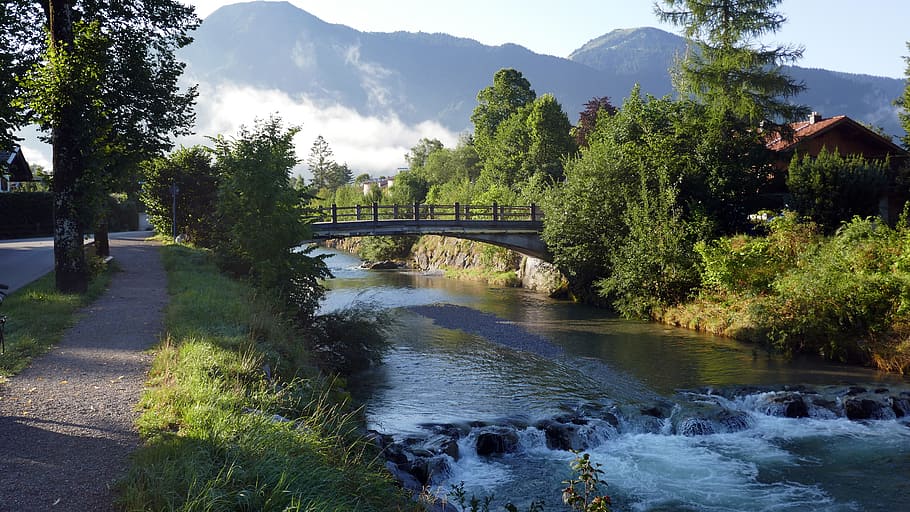 trees near bridge and river, weißach, flow, water, bavaria HD wallpaper