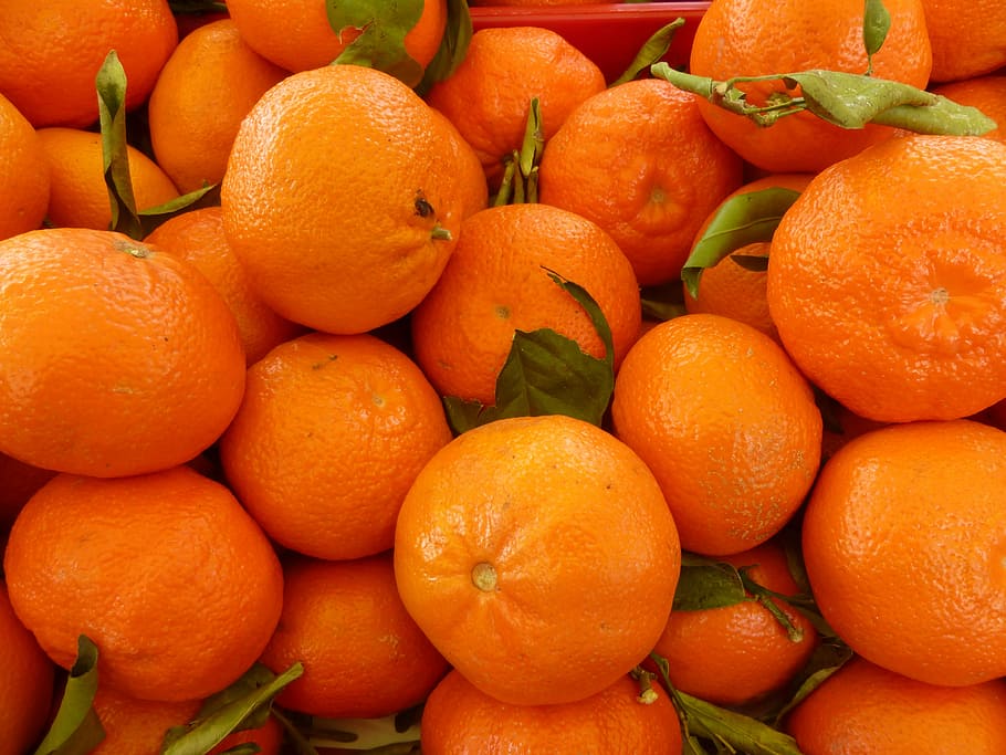 orange fruits stacked together, tangerines, citrus Fruit, food HD wallpaper