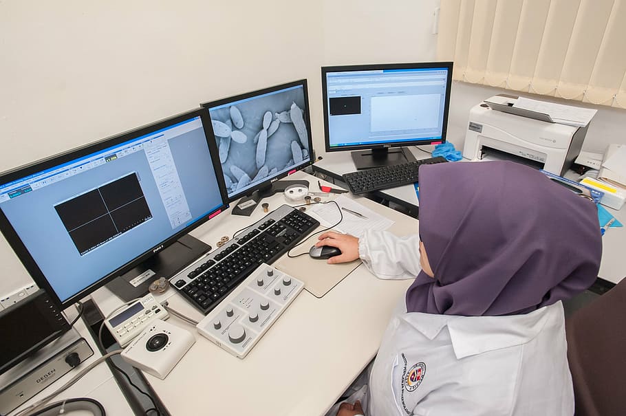 scanning electron microscope, universiti malaysia sabah, biotechnology research institute, HD wallpaper