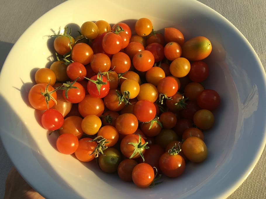 tomatoes, cherry tomatoes, dish with tomatoes, food, food and drink HD wallpaper