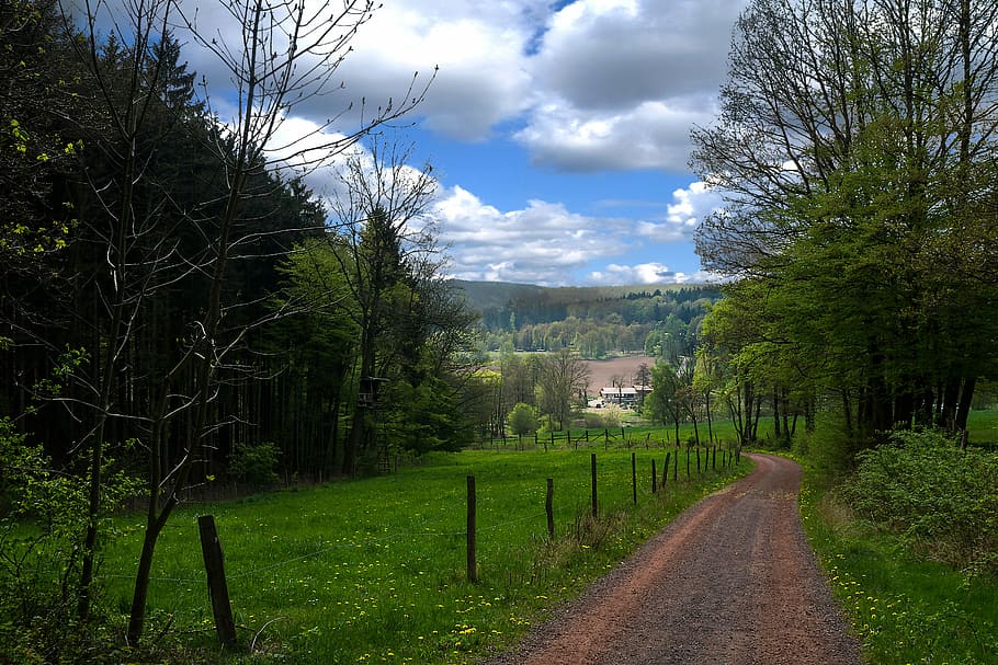Thuringia Germany, Forest, thuringian forest, castle wartburg HD wallpaper