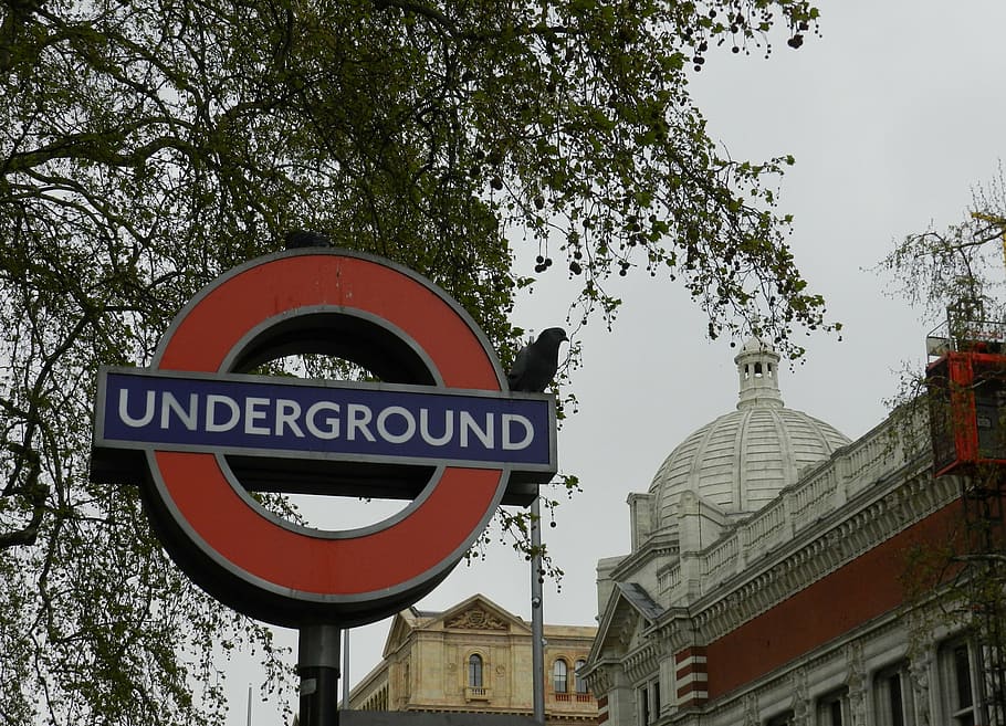 london, underground, city, tree, gray sky, metro, plate, mind the gap, HD wallpaper
