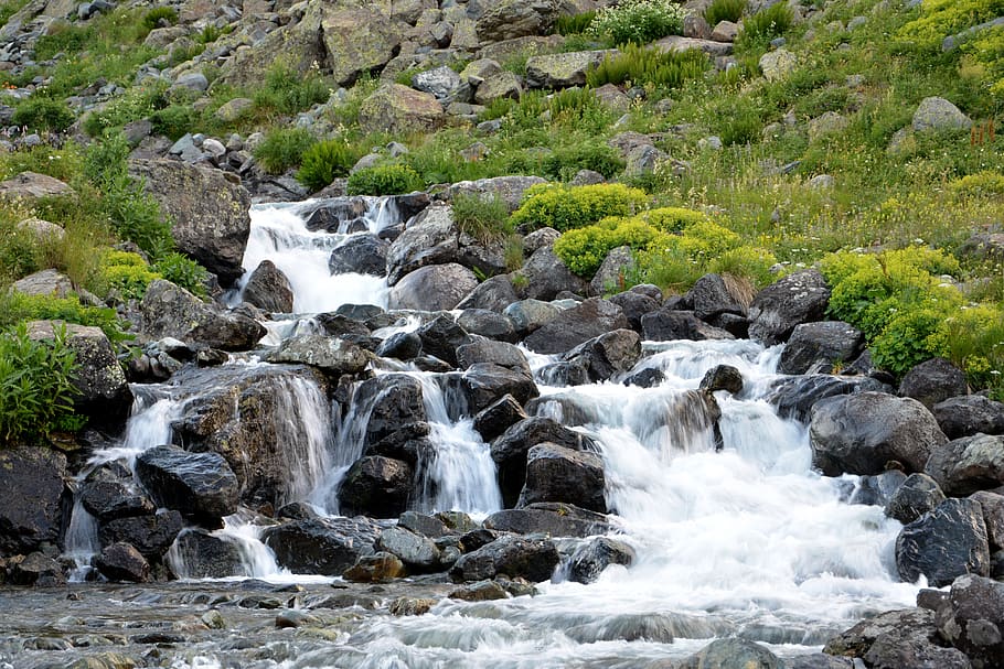 nature, landscape, kaçkars, river, dd, fish, camp, campground HD wallpaper