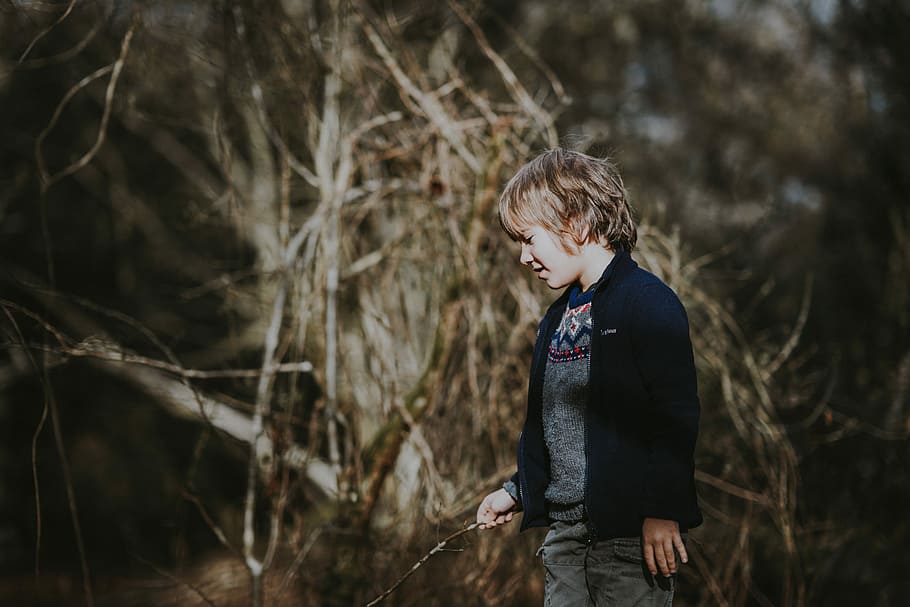 Boy exploring, boy holding stick looking down near tree branches HD wallpaper