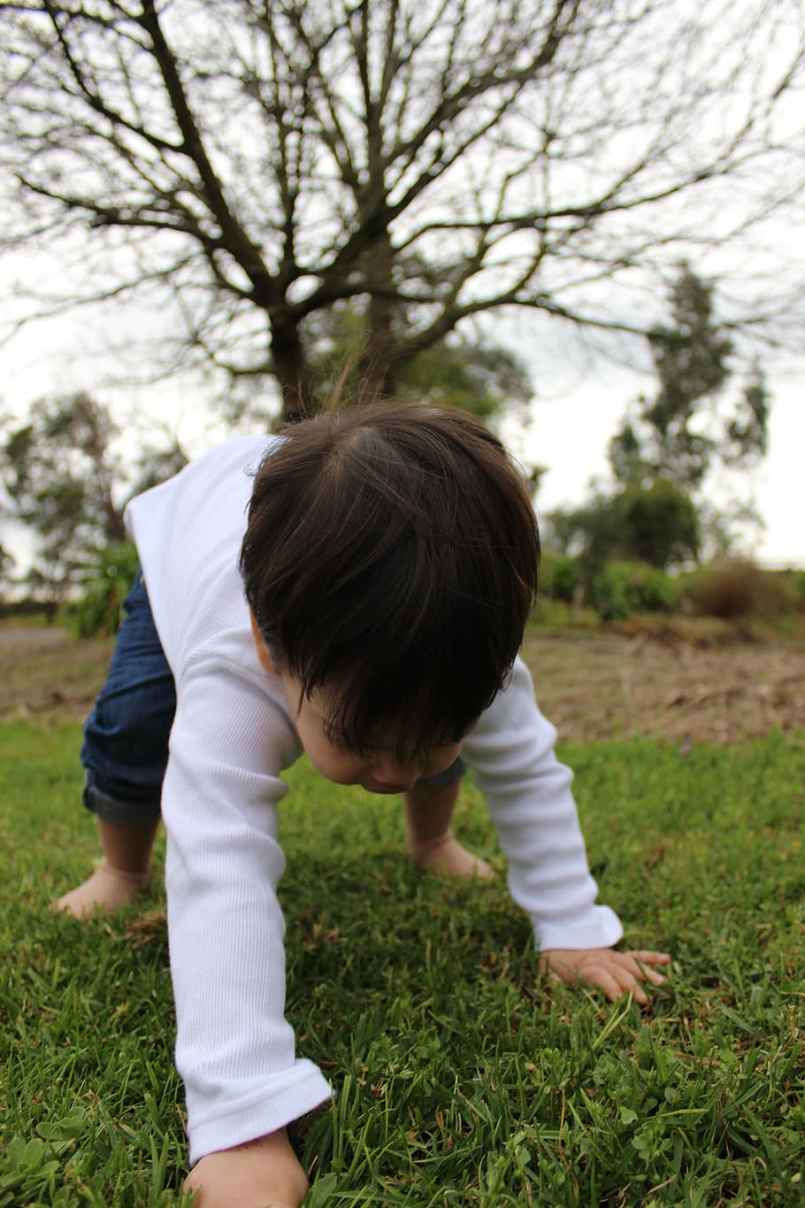 selective focus photography of boy crawling on ground, child HD wallpaper