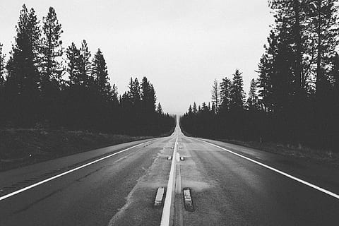 grayscale low-angle photography of road between trees, straight HD wallpaper