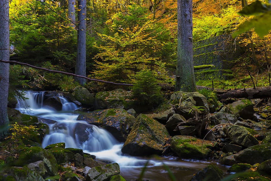 Timelapse Photography of Falls Near Trees, background, background image HD wallpaper