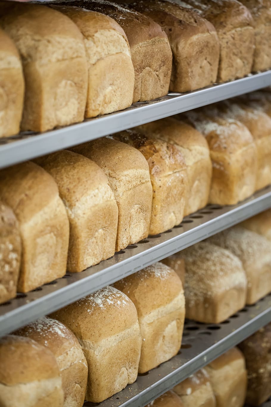 bread, baker, rack, freshness, food, food and drink, in a row HD wallpaper