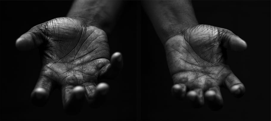 two human hand photo, hands, palms, black And White, senior Adult HD wallpaper