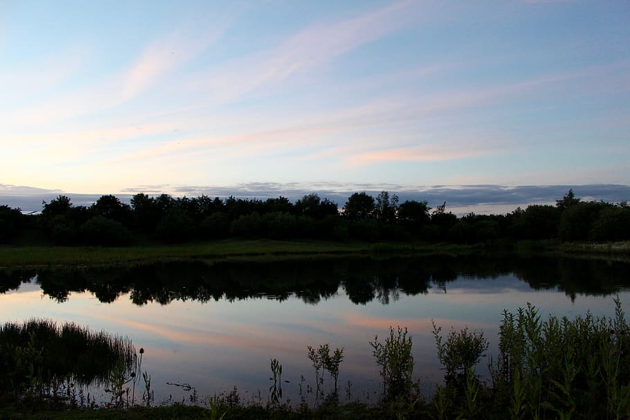 trees, grass, nature, lake, water, reflection, plants, sky HD wallpaper