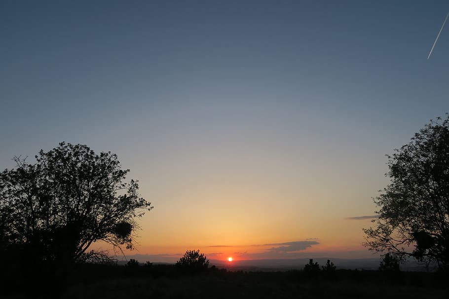 nature, sunset, dawn, tree, solar, sky, plant, silhouette, beauty in nature HD wallpaper