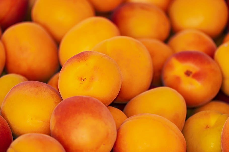 persimmon fruits, apricots, sweet, delicious, frisch, food HD wallpaper