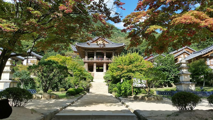 green trees near house during daytime, korea, permanent residence