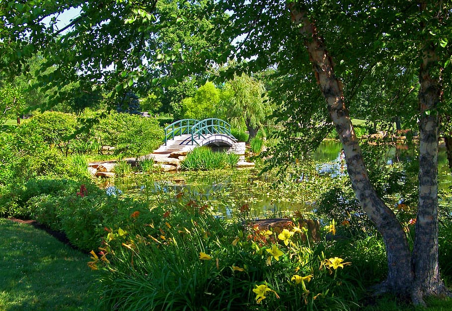 green and beige bridge near green leafed trees at daytime, monet HD wallpaper