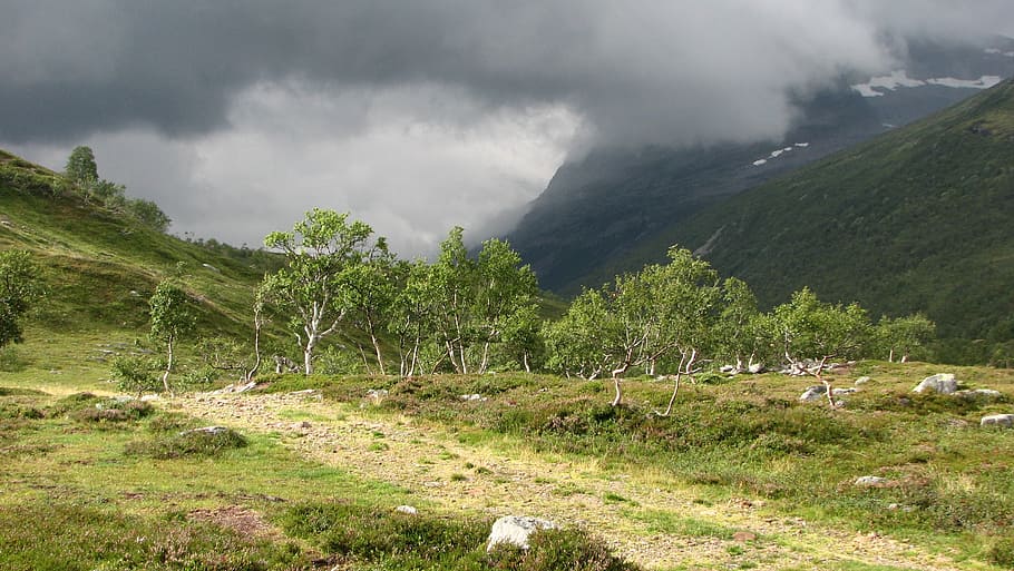 trollheimen, trollhetta, norway, mountain, nature, landscape HD wallpaper