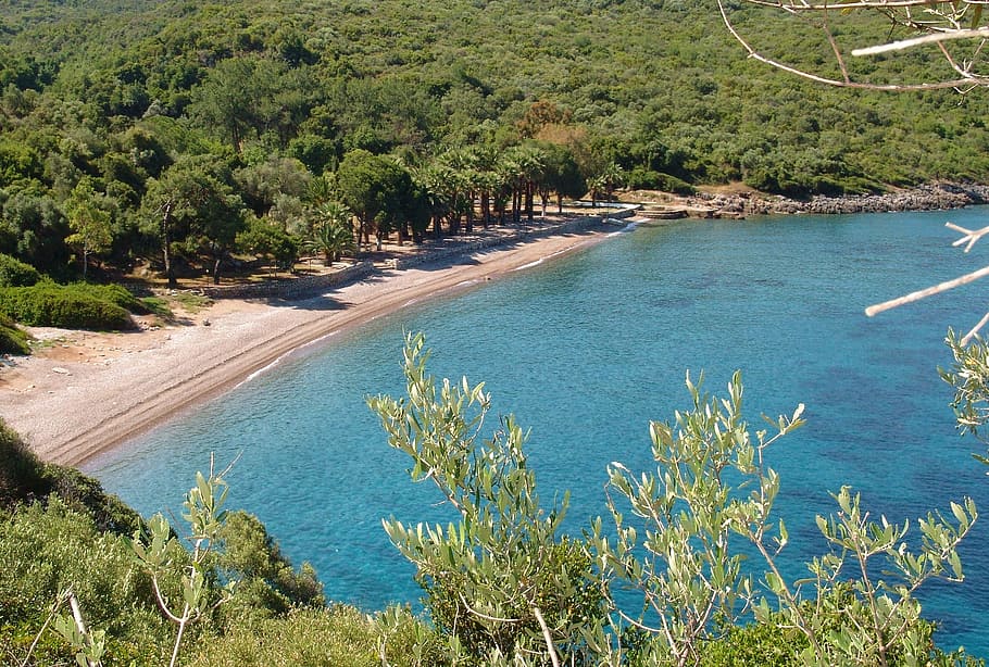 turkey, datca, beach, booked, sea, lonely, water, plant, tree HD wallpaper
