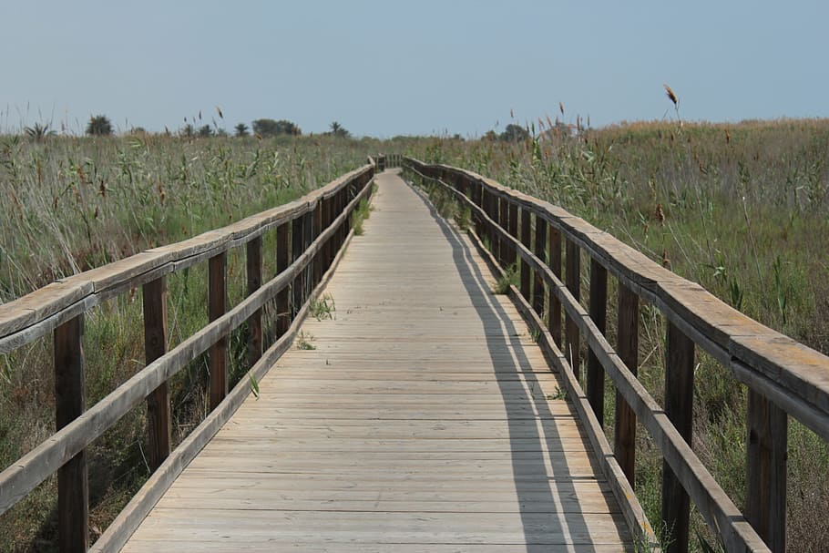 beach, path, walk, sun, nature, gateway, wood, sea, horizon HD wallpaper
