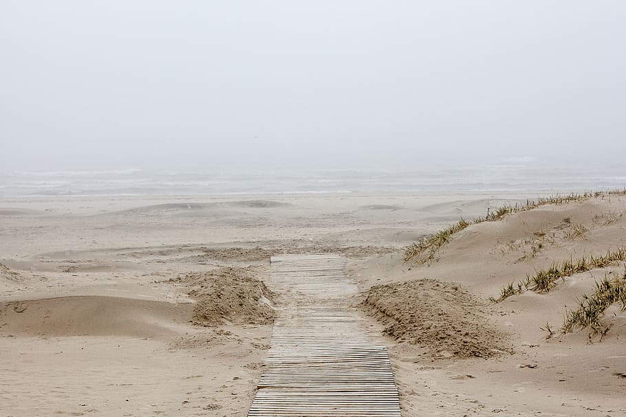Sea mist, landscape, nature, sand, beach, water, outdoors, no People HD wallpaper