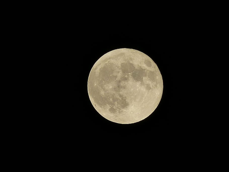 full moon, night, moonlight, planet, cuckold, space, astronomy HD wallpaper