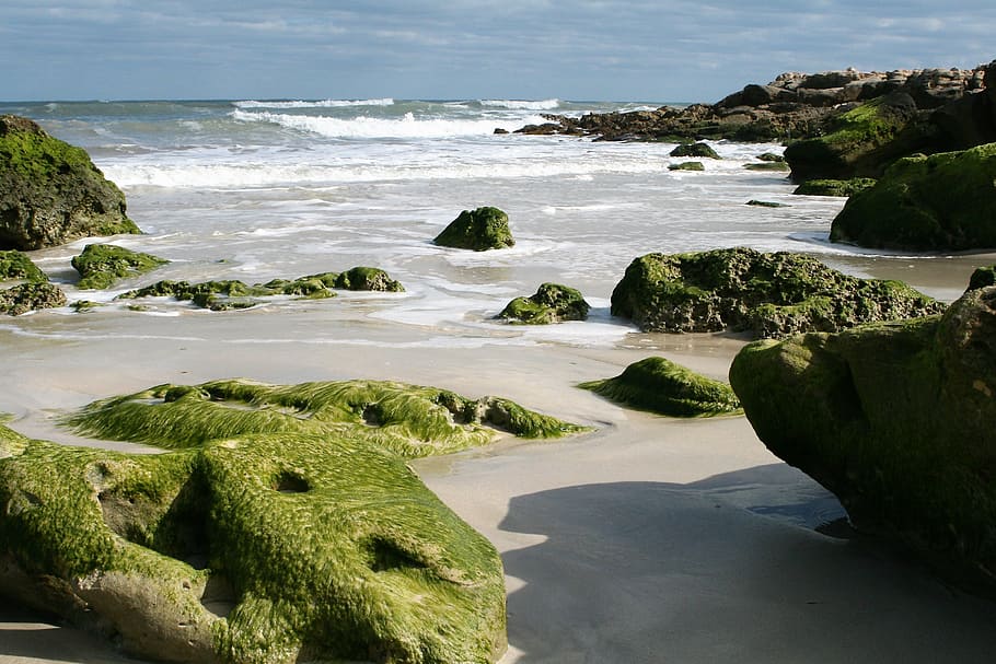 ocean, beach, roche, sea, coastline, nature, rock - Object HD wallpaper