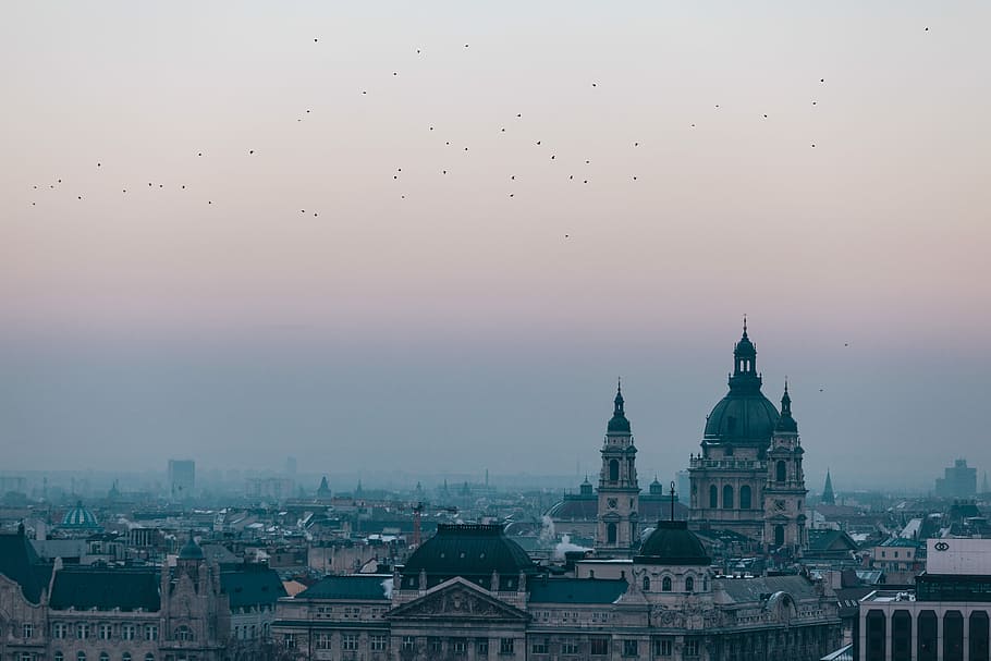 beige and gray dome-top building during daytime, aerial photo of city during daytime HD wallpaper
