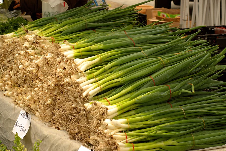 green onion bunches, harvested onions, fresh onions, vegetables, HD wallpaper
