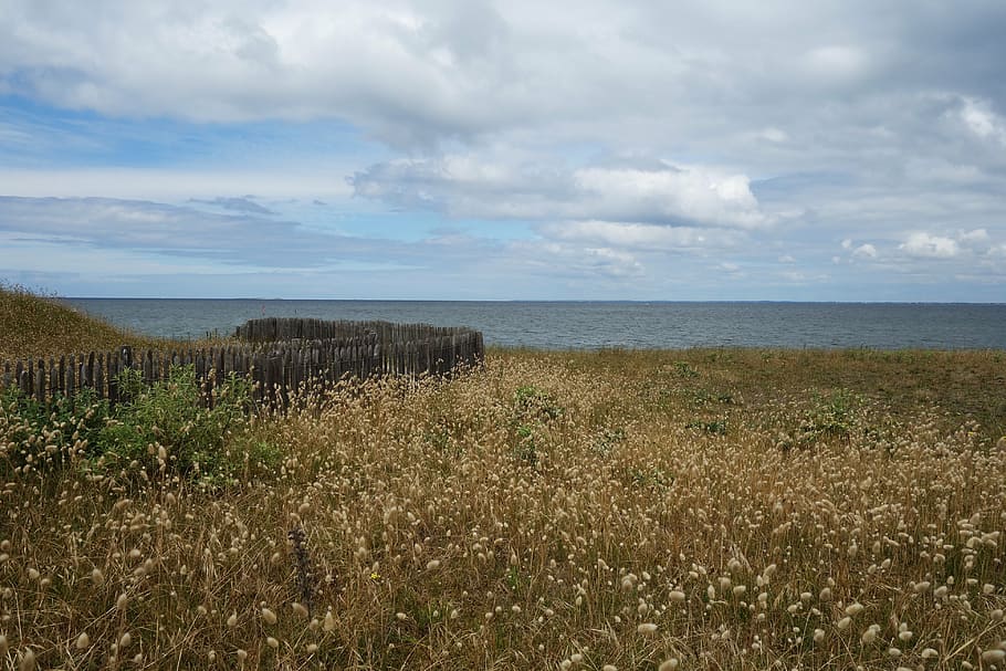mood, atlantic, brittany, dune, beach grass, outlook, landscape HD wallpaper