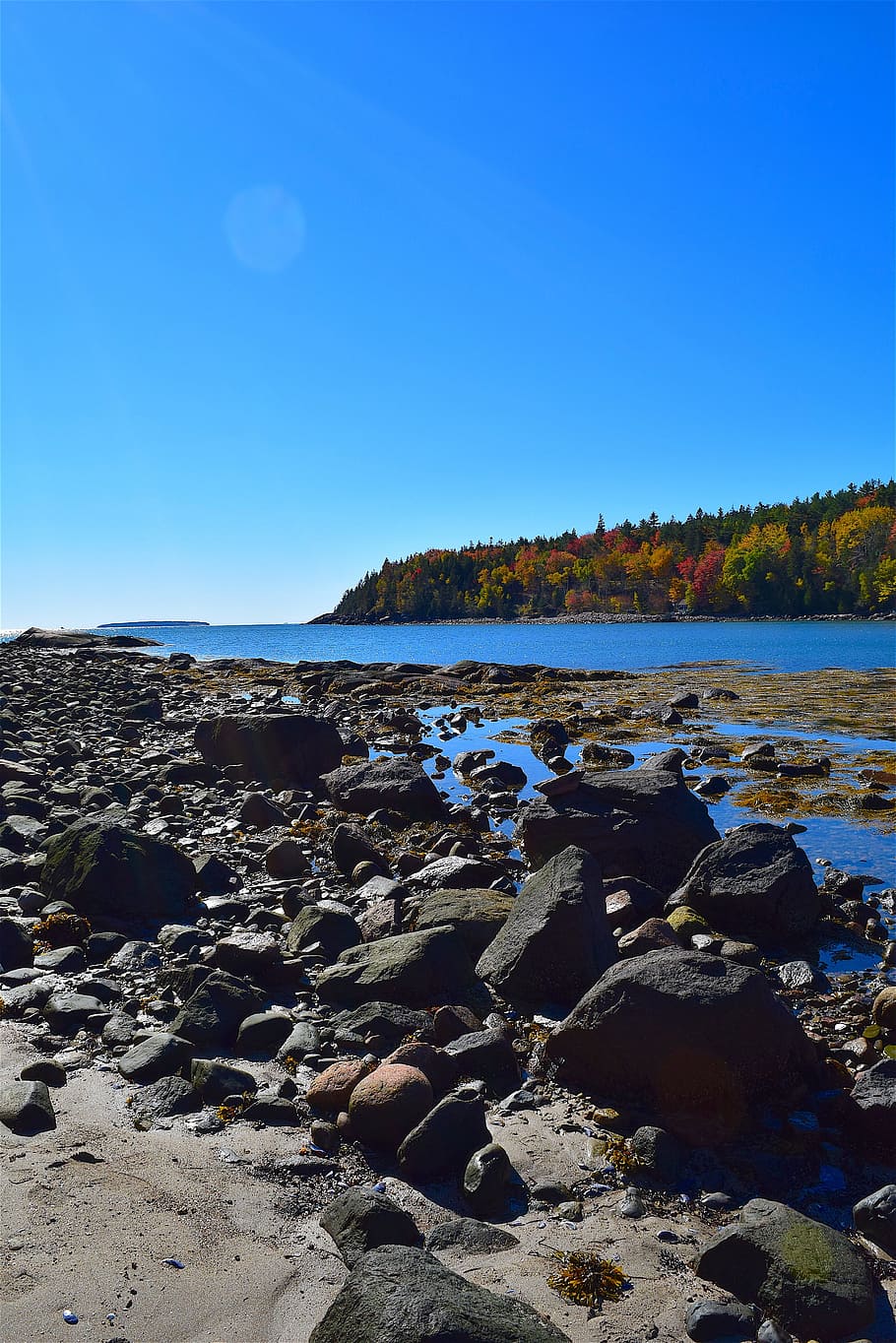 shore, rocks, ocean, pine trees, maine, nature, water, sea HD wallpaper