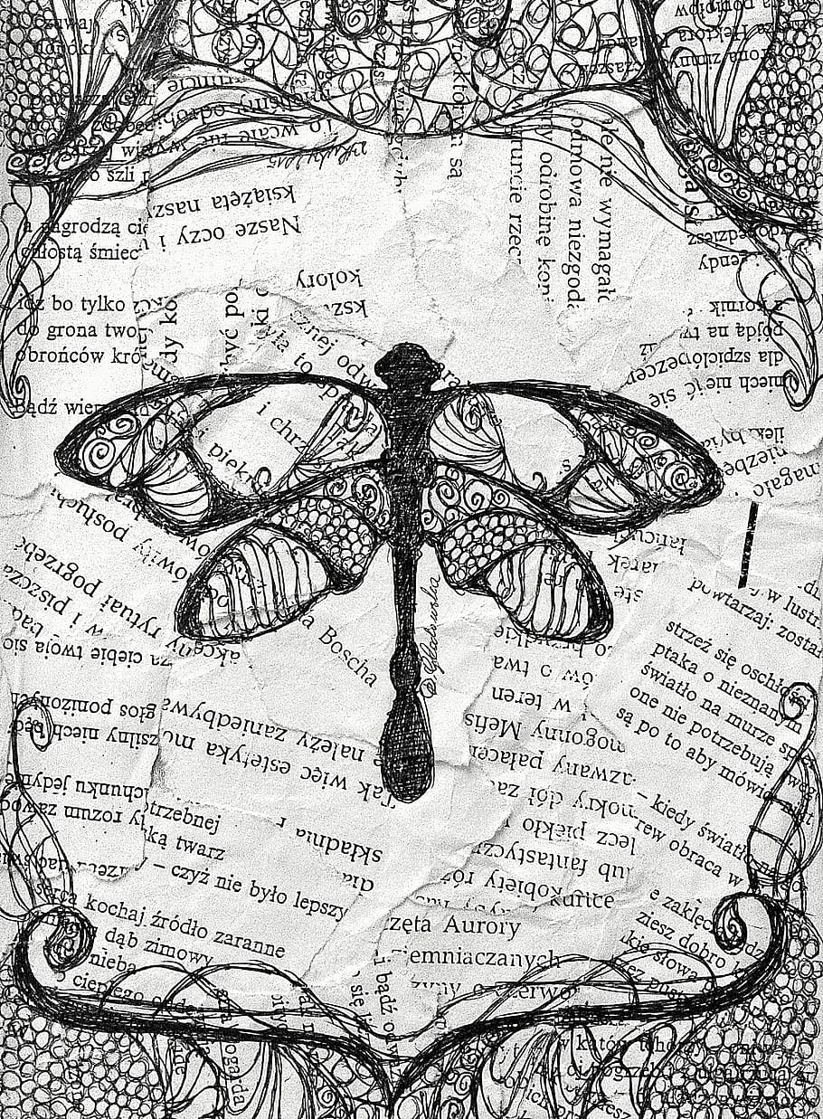Dragonfly, Artistic, Paper, creative, music, map, sketch, newspaper, HD wallpaper