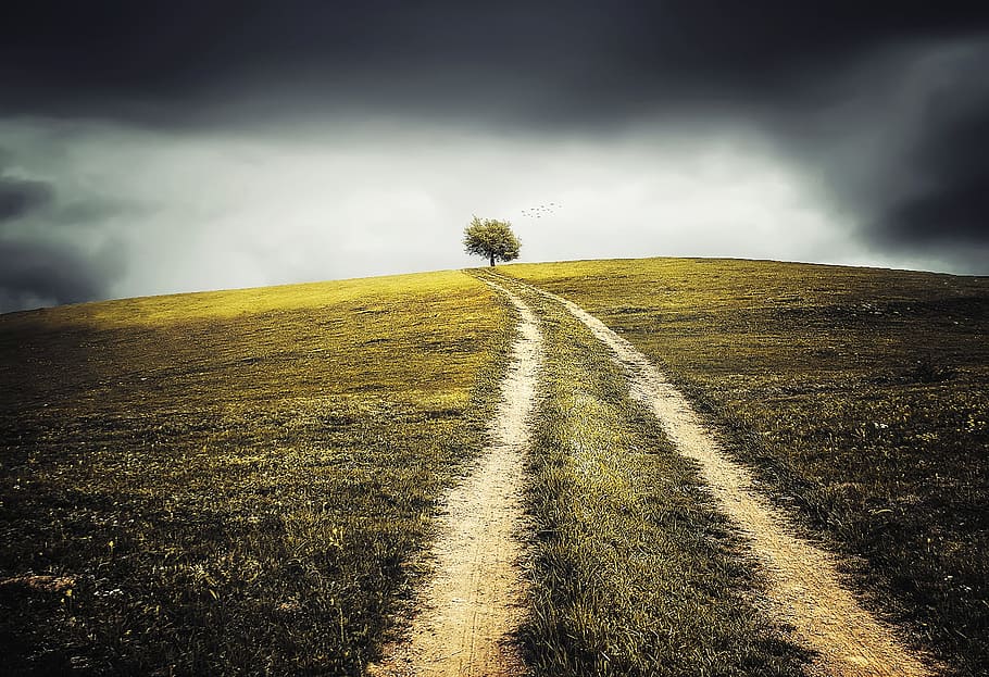 road in between of grass under dark clouds, abstract, autumn HD wallpaper