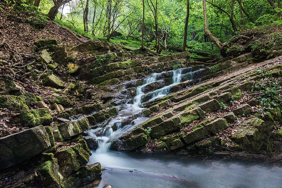 forest, waterfall, river, creek, environment, landscape, leaf HD wallpaper