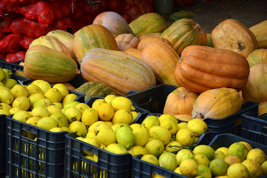 fruit, vegetables, pumpkins, lemons, food, market, boxes, food and drink HD wallpaper