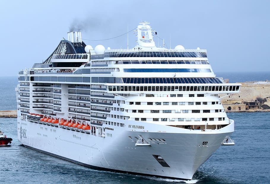 white and blue cruise ship, traffic, maritime, sea, port, water, HD wallpaper