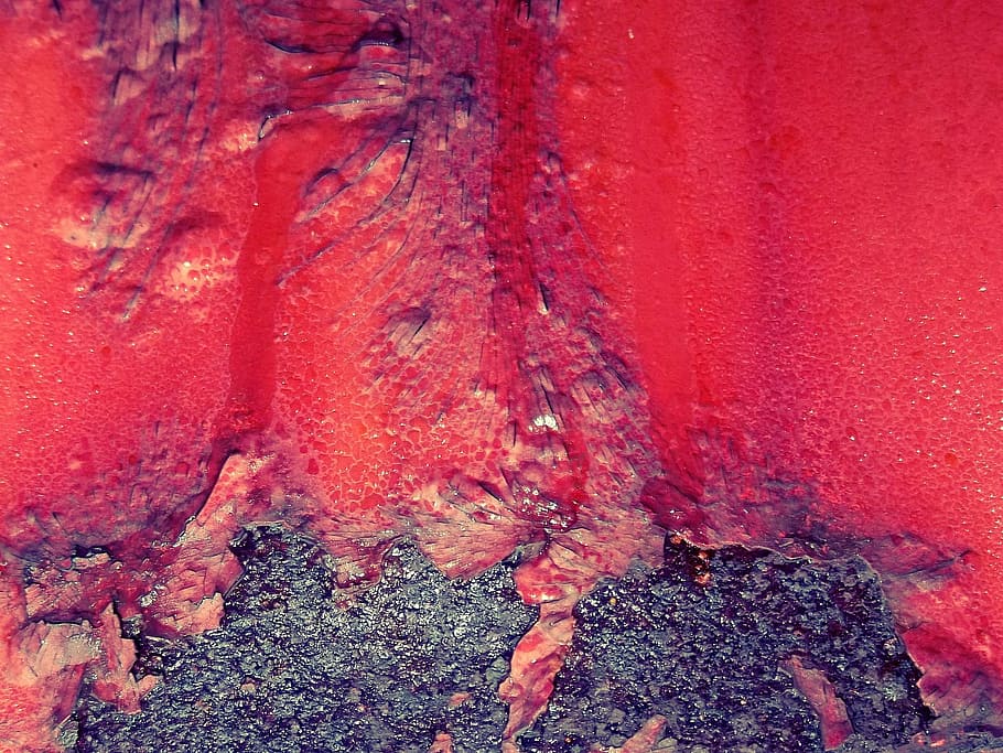 red rash paint, stainless, weathered, background, old, rusty red HD wallpaper