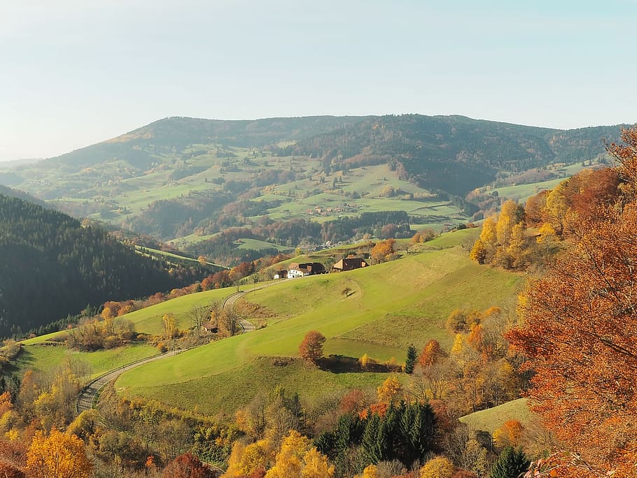 landscape, nature, fall, mountains, trees, forest, black forest HD wallpaper
