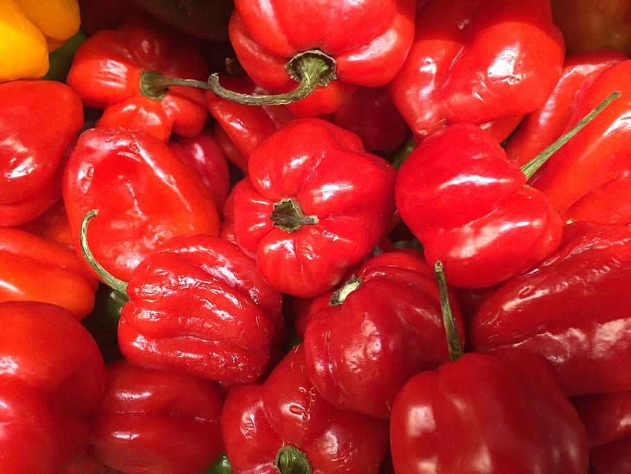 pepper, red, food, food and drink, vegetable, freshness, backgrounds HD wallpaper