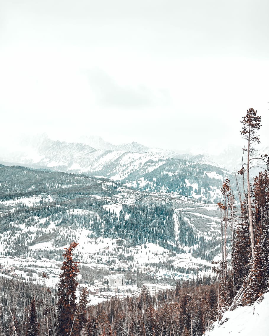 aerial view of mountains and trees during daytime, aerial photo of snow covered mountain HD wallpaper