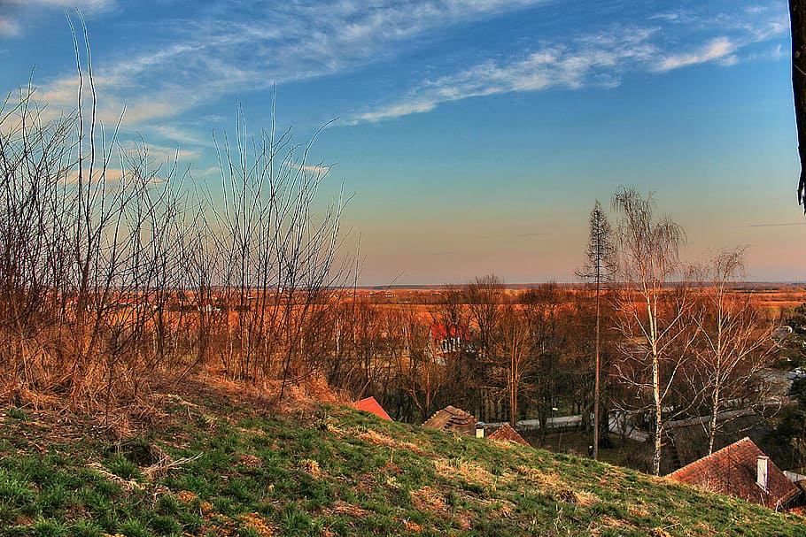 view, landscape, distant view, outlook, hdr image, plant, tree HD wallpaper