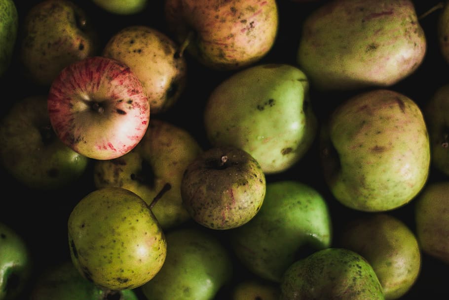 unripe apples, green fruit lot, flatlay, table, background, wallpaper HD wallpaper