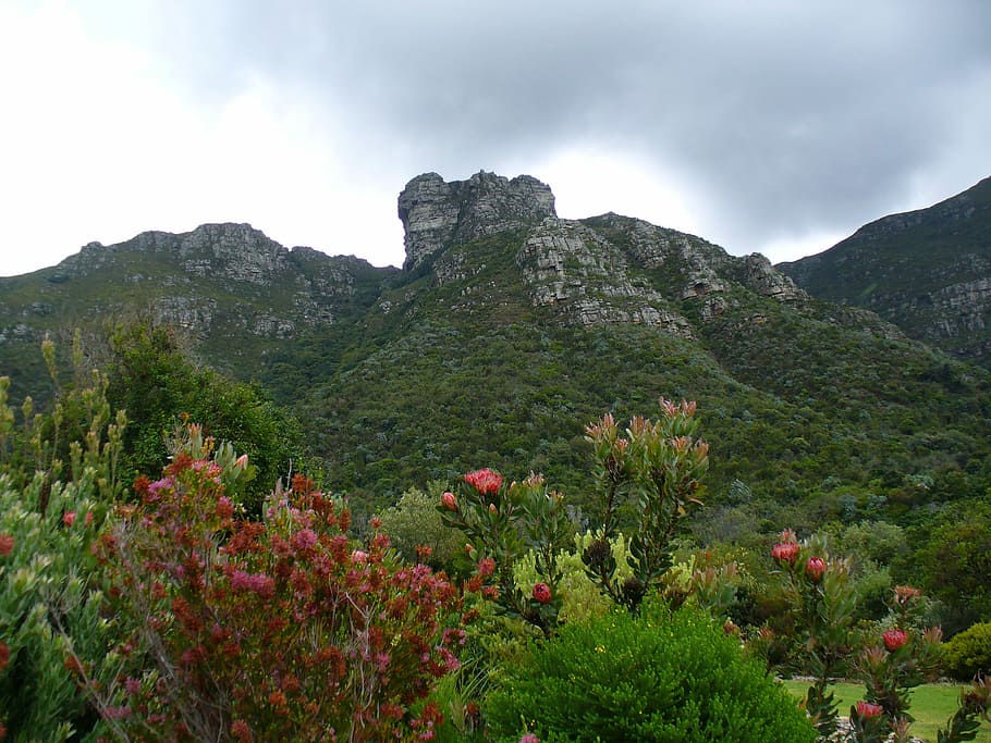 Castle Rock landscape in Cape Town, South Africa, photos, landscapes, HD wallpaper