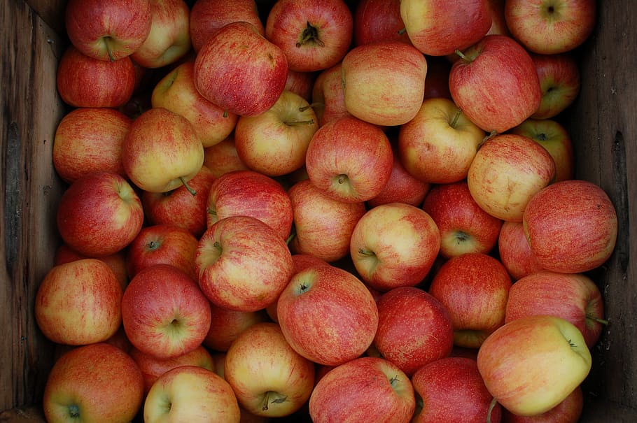 ripe red apples and in brown crate, orchard, fruit, food, freshness HD wallpaper