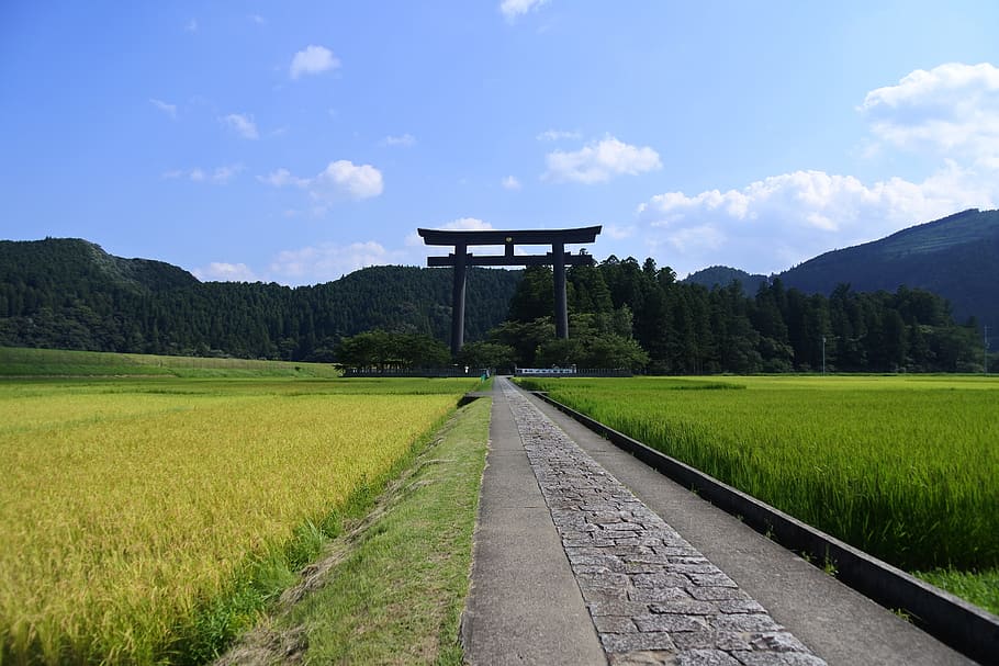 japan, wakayama, shrine, kumano, kumano hongu taisha grand shrine