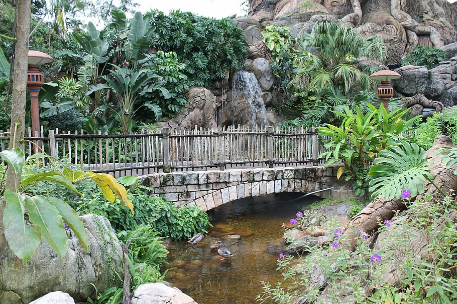 bridge, waterfall, nature, plant, tree, growth, solid, rock HD wallpaper