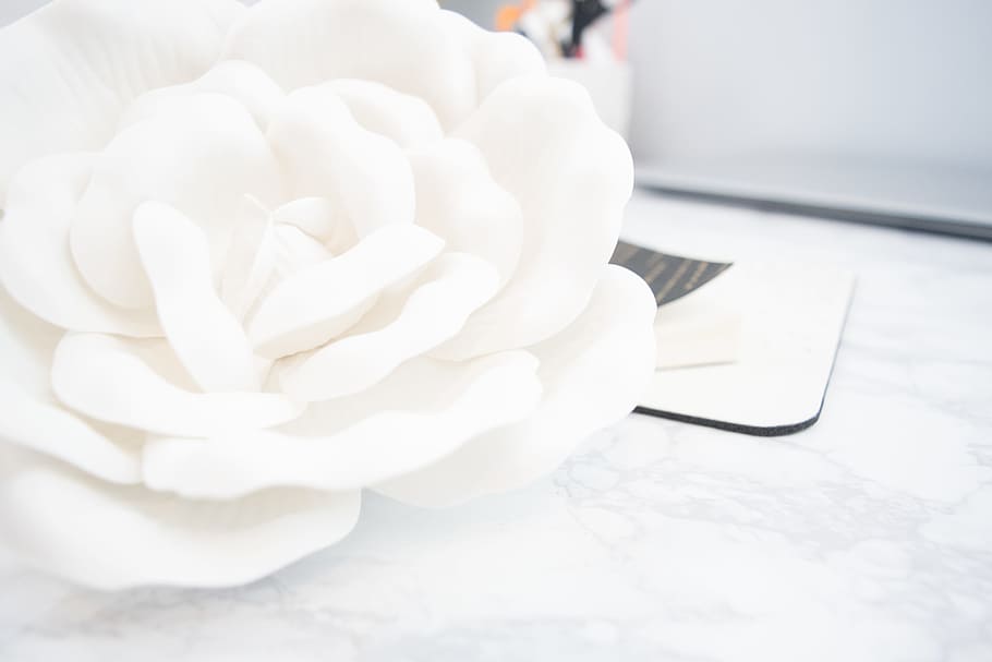 petals, blur, white, flower, bloom, blooming, blossom, close-up HD wallpaper