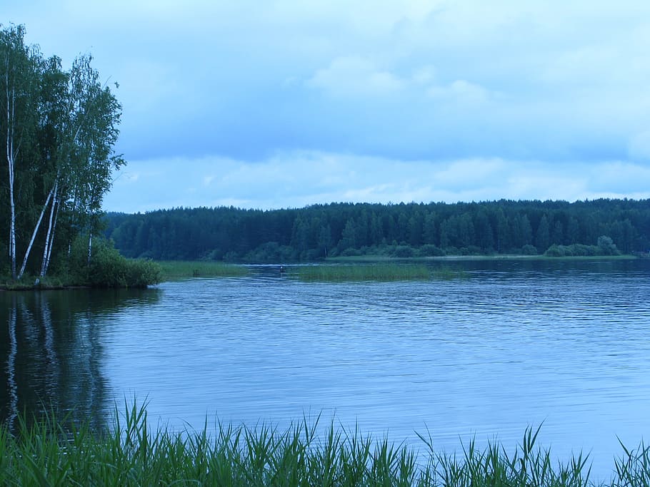landscape, summer, nature, forest, spaces, grass, sky, clouds HD wallpaper
