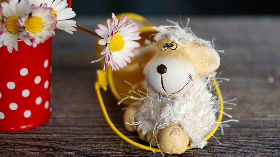 white sheep plush toy beside white daisy flower, decoration, spring